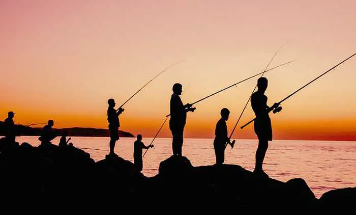 How Do Fishing Tournaments Work?