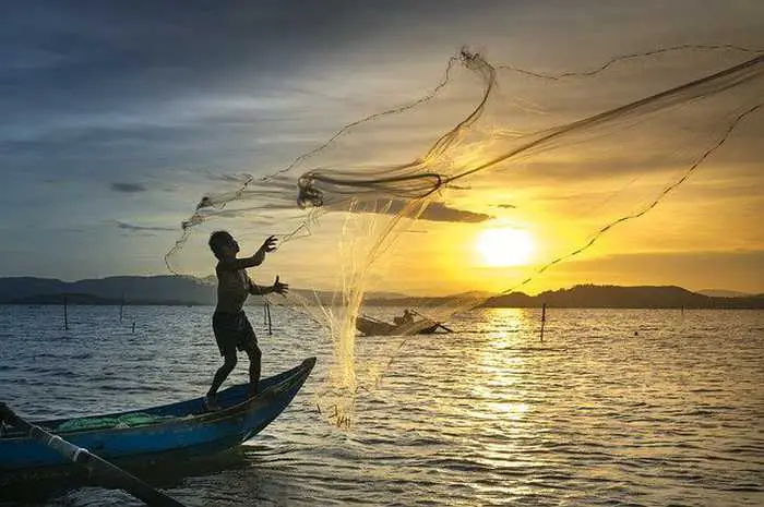 How Fishing Affects The Environment?