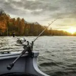 Is It Good To Fish In The Rain? (Everything You Need To Know!)