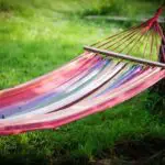 Do Hammocks Hurt Trees? (Find Out Here)