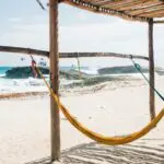 How Comfy Are Hammocks? (What You Should Know)