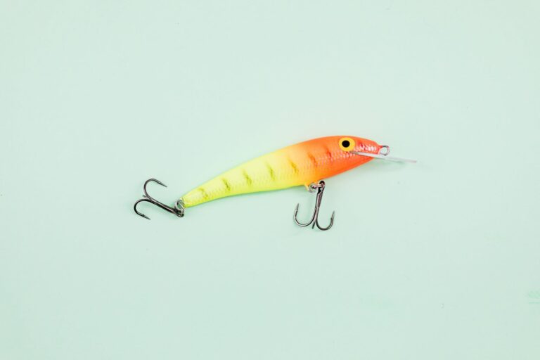 yellow and orange fish bait