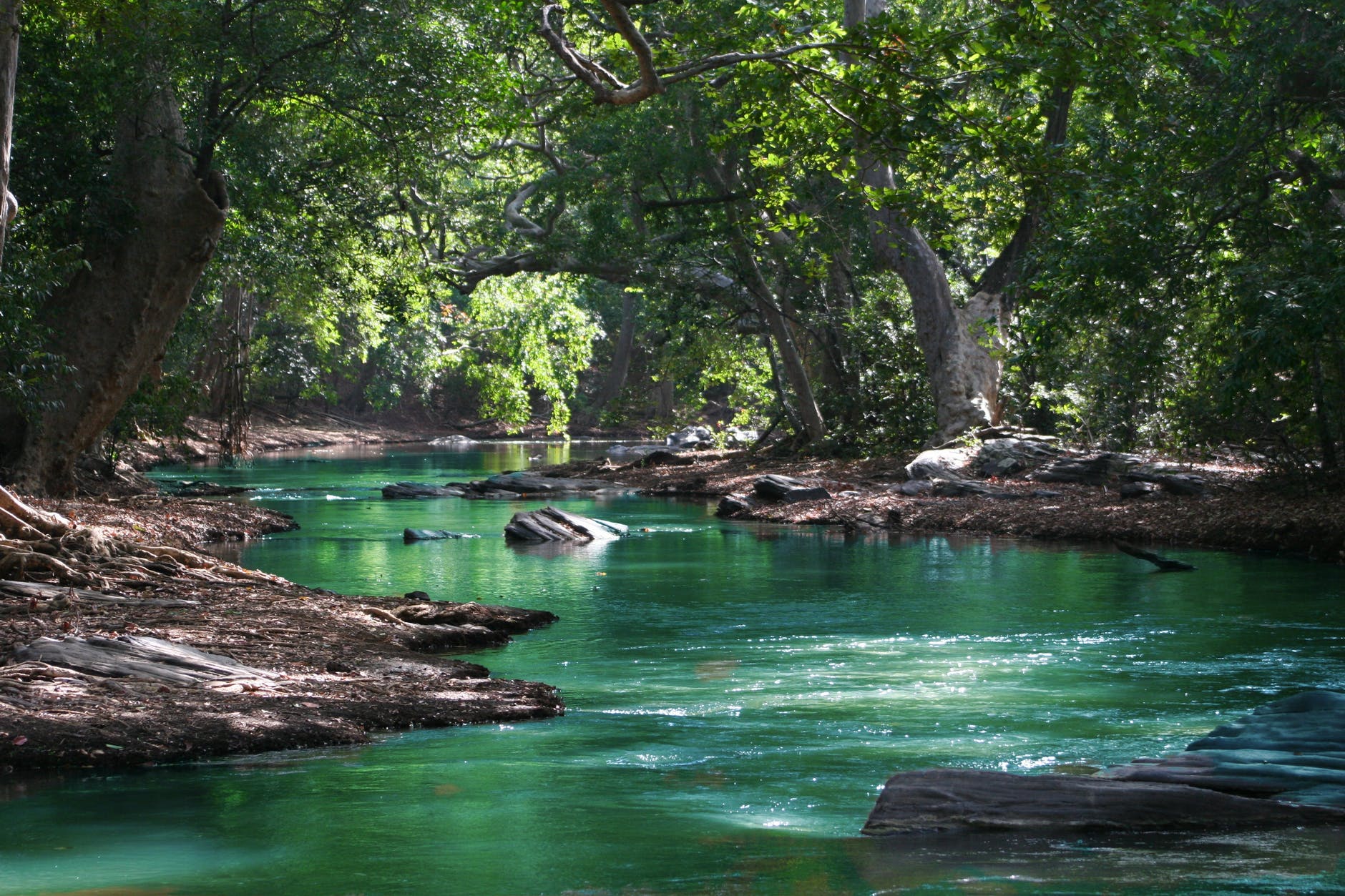 What Is The Difference Between A River And A Dam