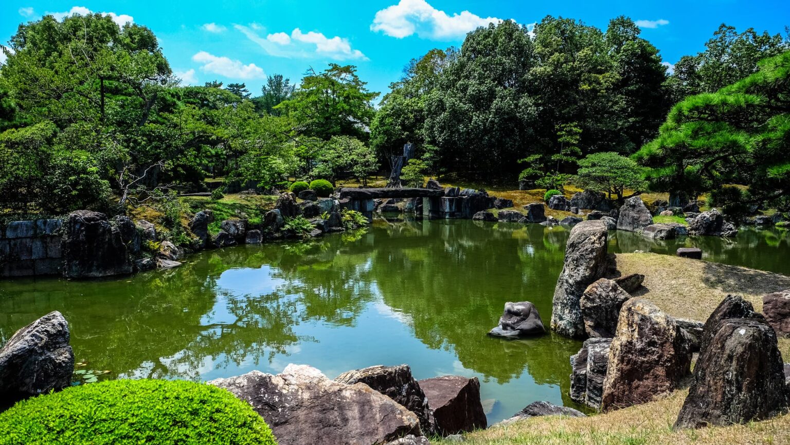 How Deep Should My Trout Pond Be Know The Details Goenthusiast How Deep Should My Trout Pond Be Know The Details Goenthusiast