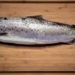 Are Trout Attracted To Light? (Helpful Tips)