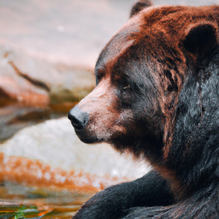 Alabama Bear Hunt