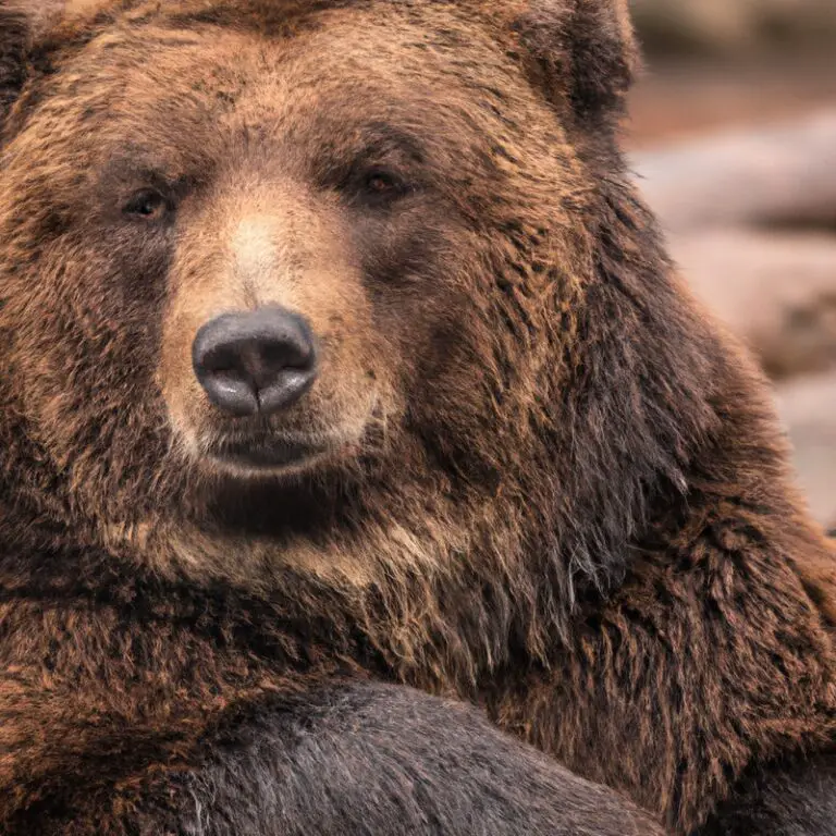 Alaskan wildlife encounter